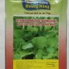CẢI BẸ XANH ĂN NON BABY HƯƠNG NÔNG BABY LEAF MUSTARD HƯƠNG NÔNG | 7440 scaled