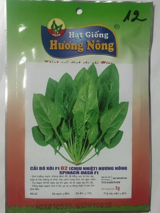 CẢI BÓ XÔI F1 02 (CHỊU NHIỆT) HƯƠNG NÔNG SPINACH-DASH F1 - Hình ảnh 2