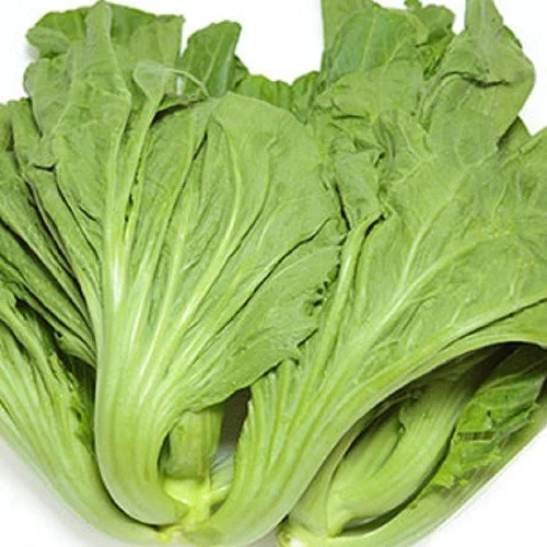 CẢI BẸ DƯA HƯƠNG NÔNG HEAD MUSTARD | 7456