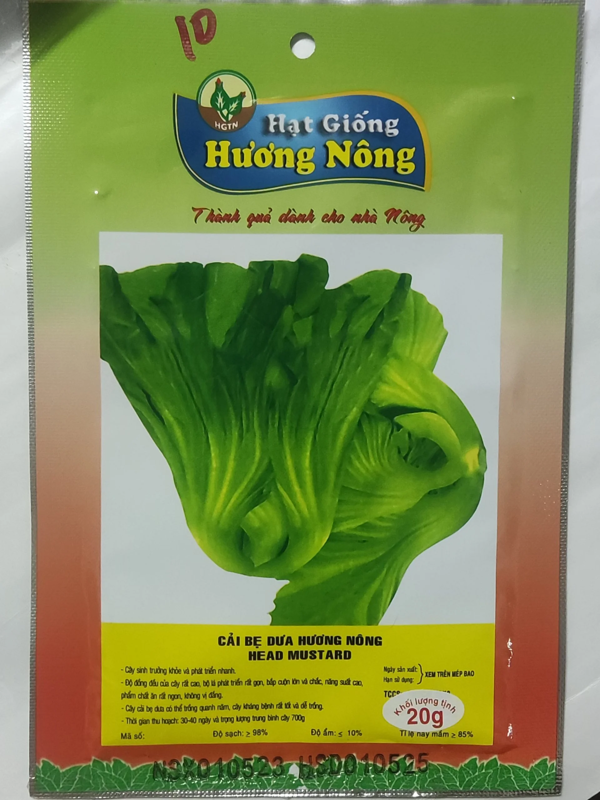 CẢI BẸ DƯA HƯƠNG NÔNG HEAD MUSTARD | 7458 scaled