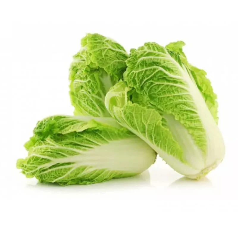 CẢI BẸ DÚN HƯƠNG NÔNG CHINESE WHITE CABBAGE