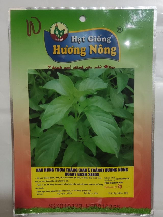 RAU HÚNG THƠM TRẮNG (RAU É TRẮNG) HƯƠNG NÔNG HOARY BASIL SEEDS | 7761 scaled