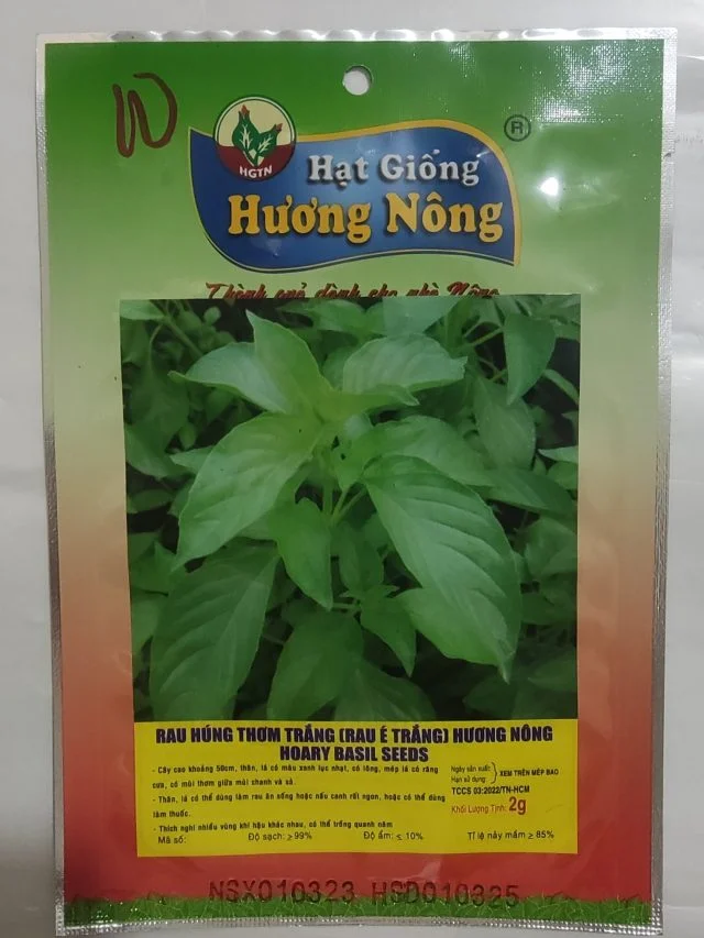 RAU HÚNG THƠM TRẮNG (RAU É TRẮNG) HƯƠNG NÔNG HOARY BASIL SEEDS - Hình ảnh 2