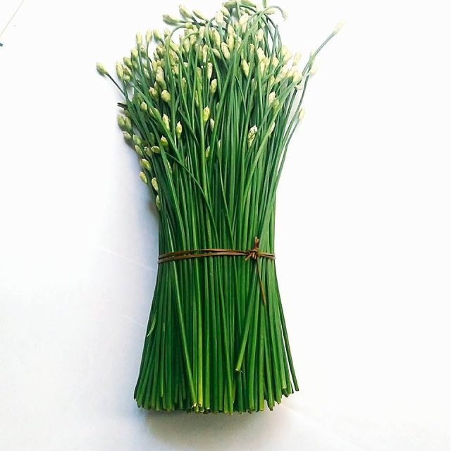 HẸ ĂN BÔNG HUƠNG NÔNG CHINESE LEEK FOR FLOWER | 7773