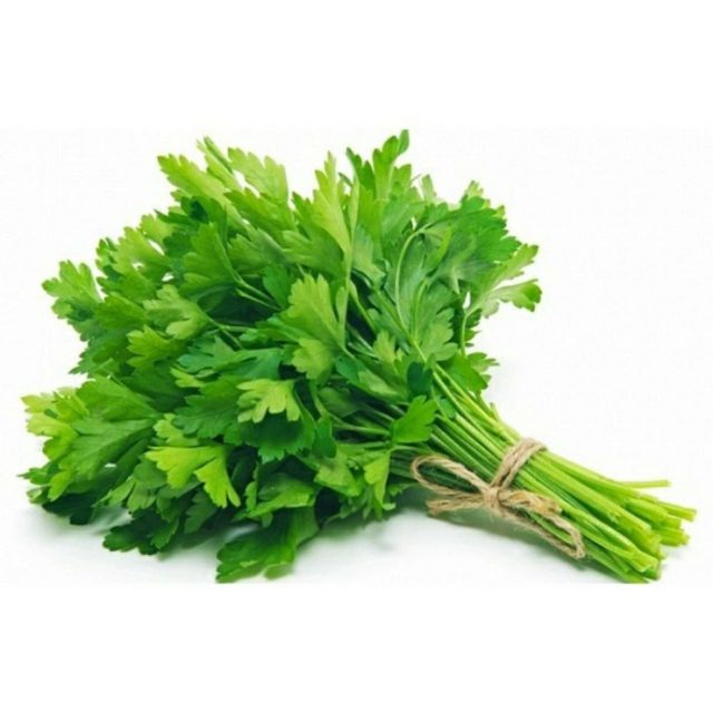 CẦN LÁ XANH HƯƠNG NÔNG CELERY GREEN | 7775