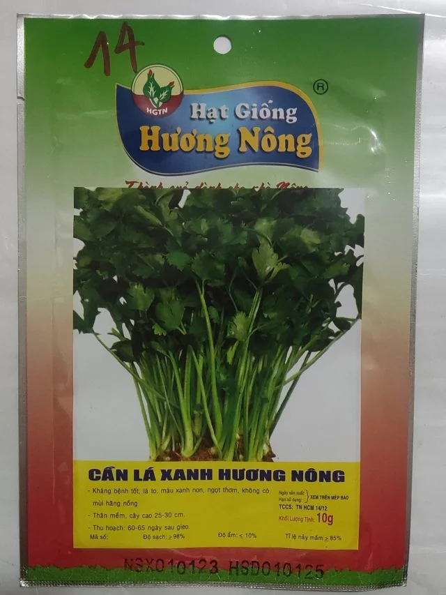 CẦN LÁ XANH HƯƠNG NÔNG CELERY GREEN - Hình ảnh 2