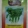 NGÒ RÍ HƯƠNG NÔNG CORIANDER SEEDS | 7782 scaled