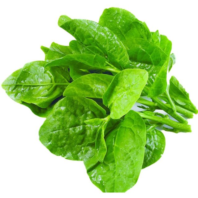 MỒNG TƠI HƯƠNG NÔNG CEYLON SPINACH | 7901