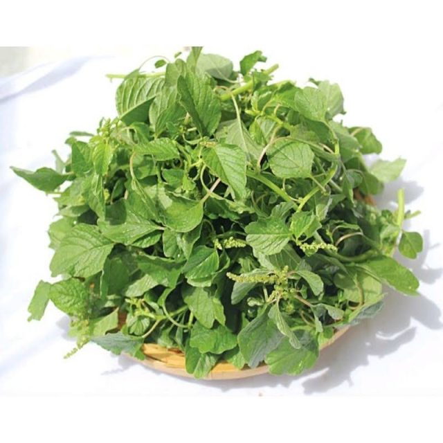 RAU DỀN CƠM HƯƠNG NÔNG | 7913