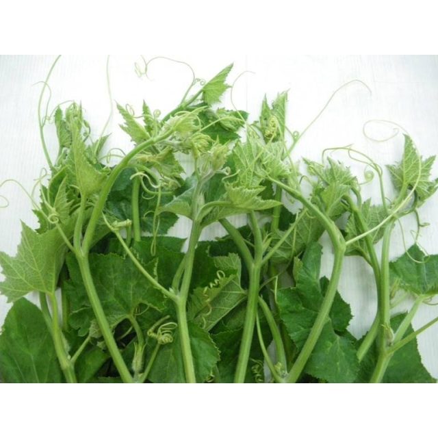 BÍ NGỌN SIÊU ĐỌT HƯƠNG NÔNG | 7920