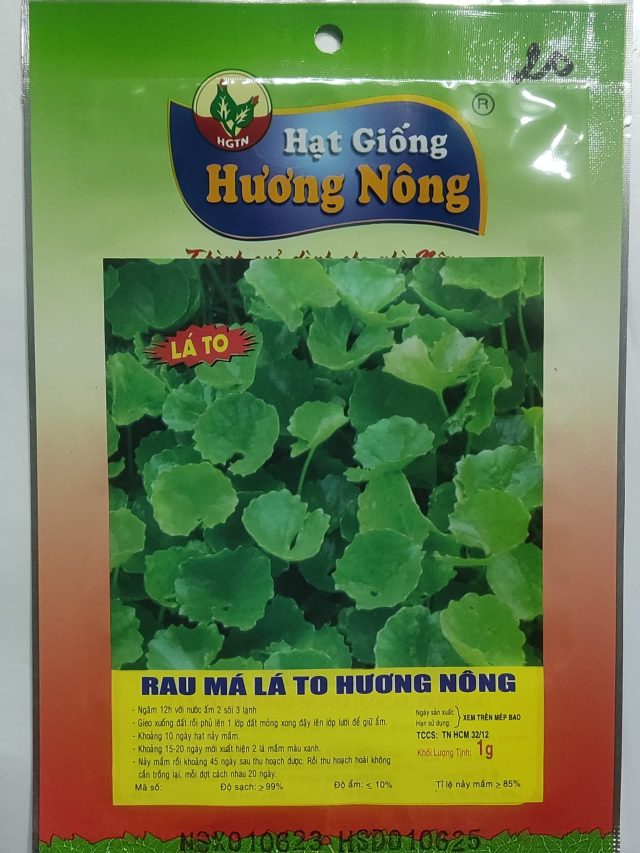 RAU MÁ LÁ TO HƯƠNG NÔNG - Hình ảnh 2