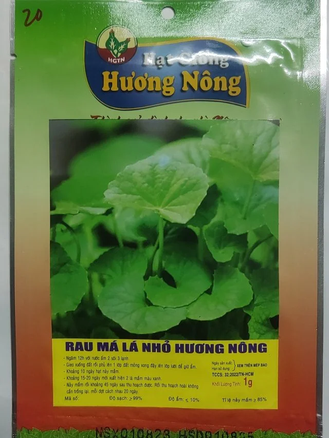 RAU MÁ LÁ NHỎ HƯƠNG NÔNG | 7929 scaled