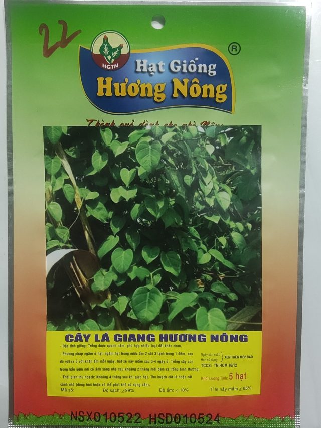 CÂY LÁ GIANG HƯƠNG NÔNG - Hình ảnh 2