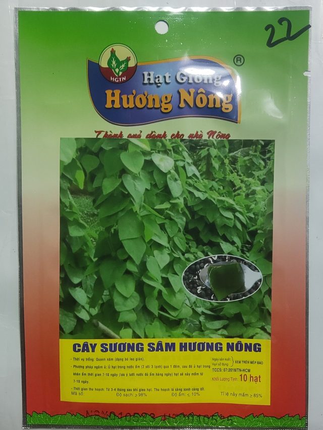 CÂY SƯƠNG SÂM HƯƠNG NÔNG - Hình ảnh 2