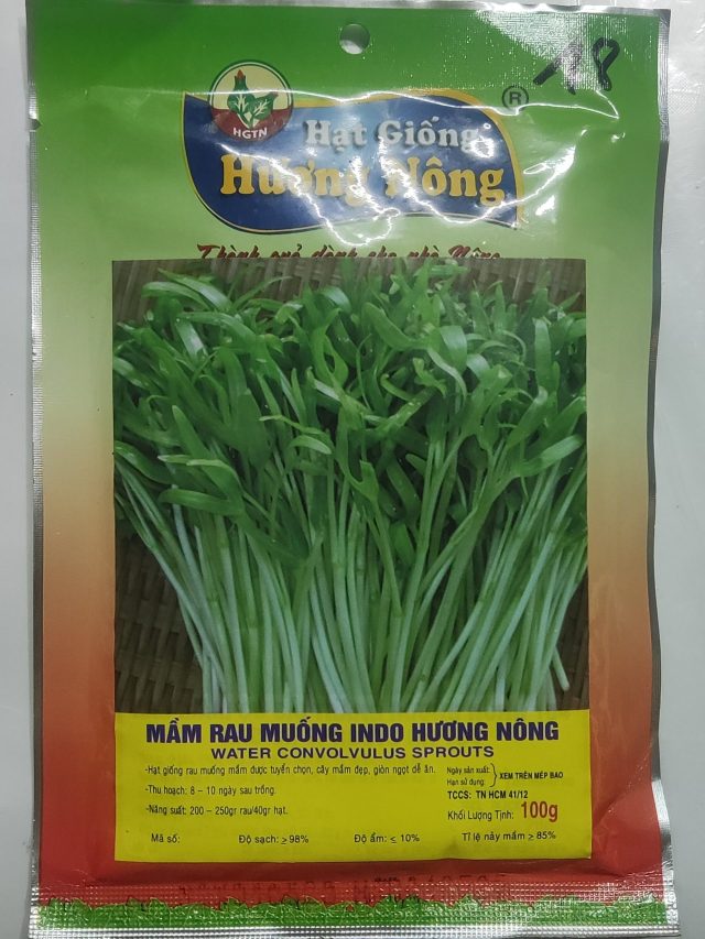 MẦM RAU MUỐNG INDO HƯƠNG NÔNG WATER CONVOLVULUS SPROUTS - Hình ảnh 2