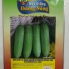 DƯA LEO F1(DƯA CHUỘT) HƯƠNG NÔNG 301 CUCUMBER F1-301 | 7965 scaled