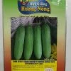 DƯA LEO F1(DƯA CHUỘT) HƯƠNG NÔNG 301 CUCUMBER F1-301 | 7965 scaled