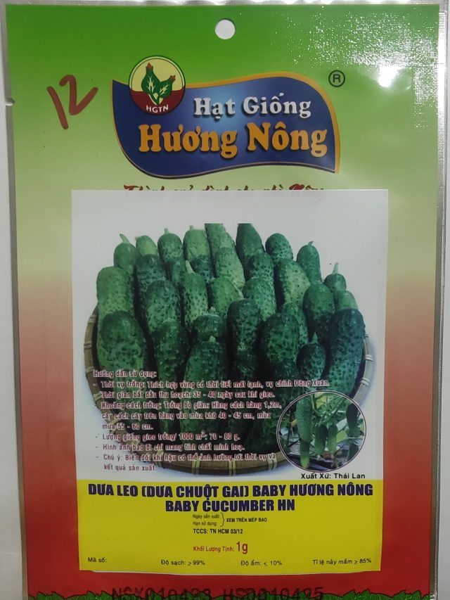 DƯA LEO (DƯA CHUỘT GAI) BABY HƯƠNG NÔNG BABY CUCUMBER HN - Hình ảnh 2