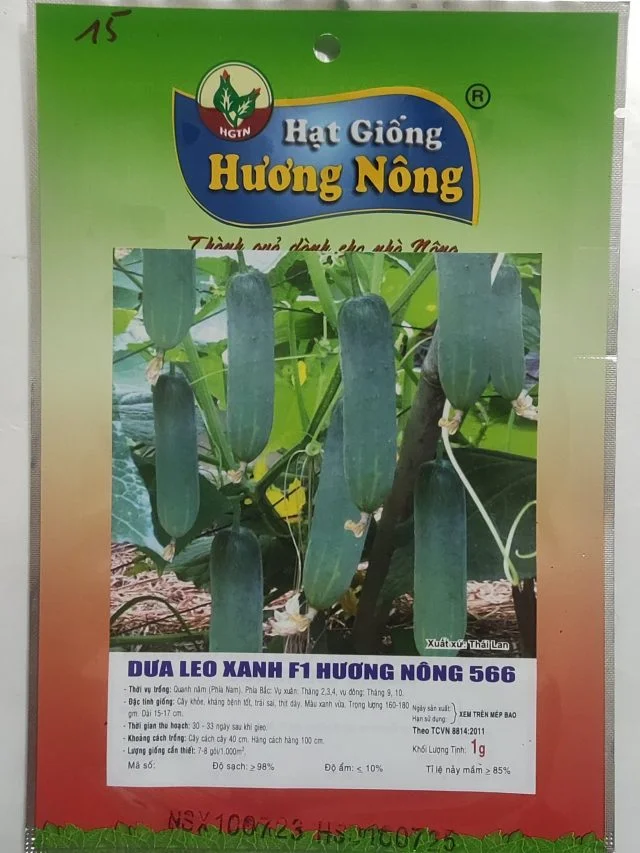 DƯA LEO XANH F1 HƯƠNG NÔNG 566 - Hình ảnh 2