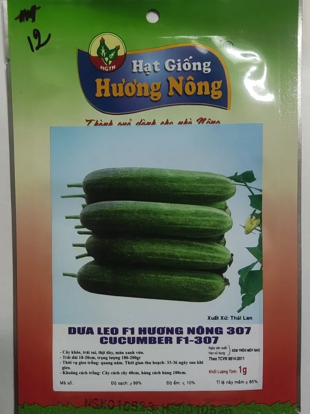 DƯA LEO F1 HƯƠNG NÔNG 307 CUCUMBER F1-307 - Hình ảnh 2