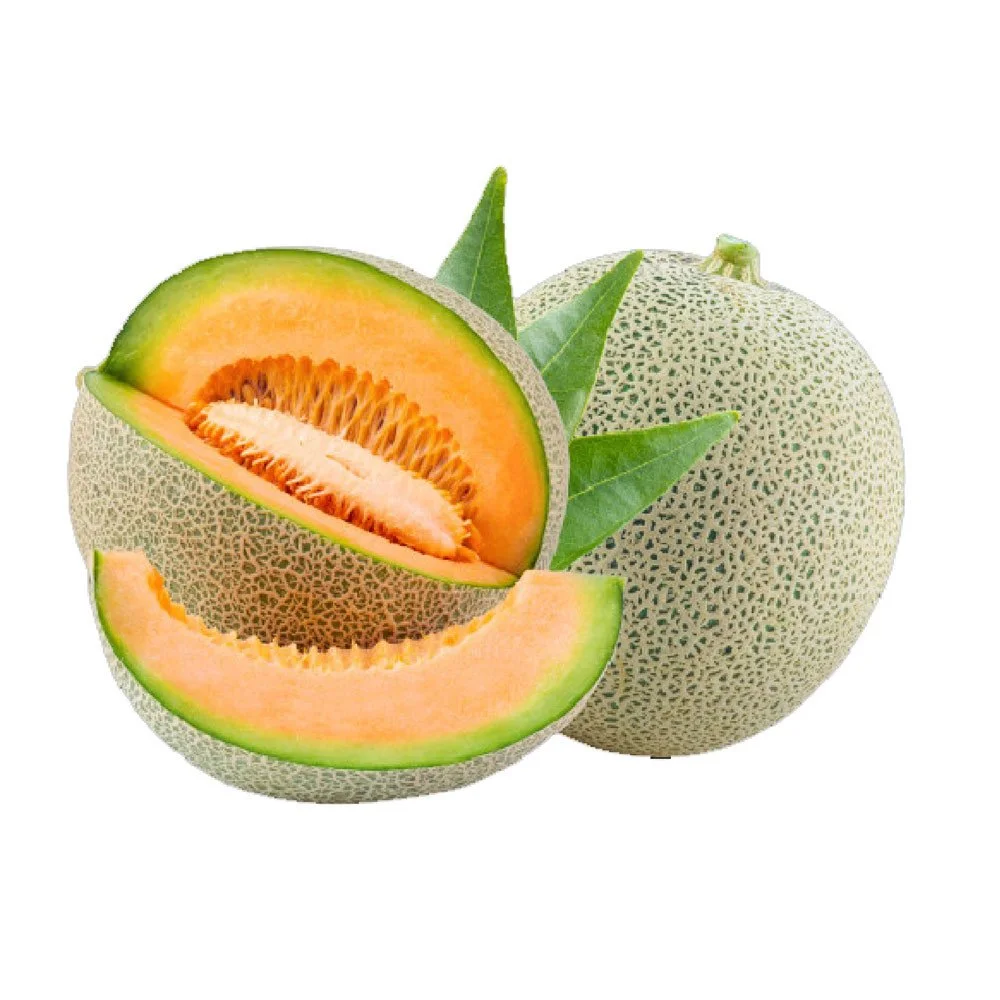 DƯA LƯỚI F1 HƯƠNG NÔNG MELON F1 HN