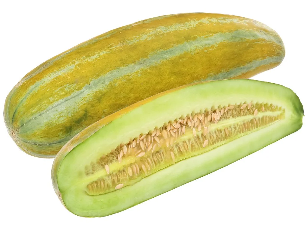 DƯA GANG CAO SẢN HƯƠNG NÔNG