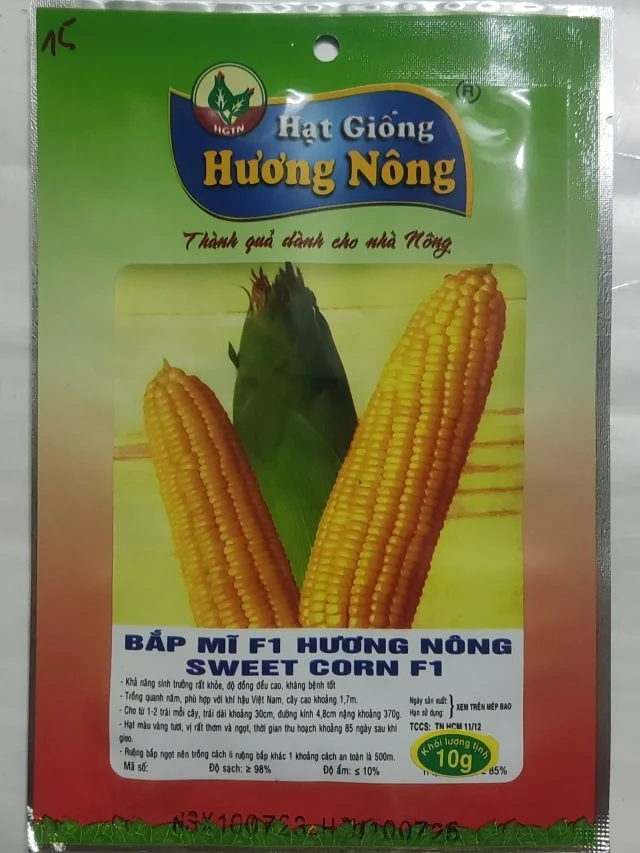 BẮP MỸ F1 HƯƠNG NÔNG SWEET CORN F1 - Hình ảnh 2