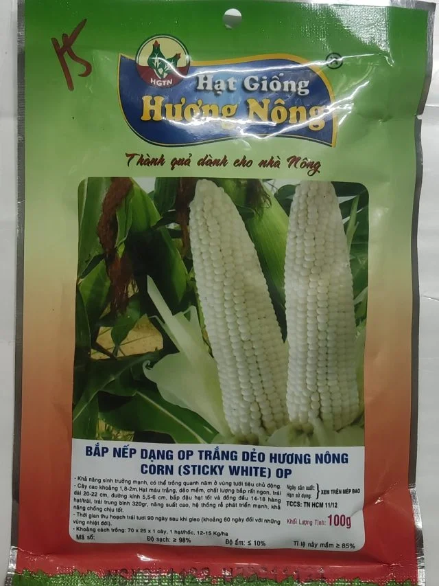 BẮP NẾP DẠNG OP TRẮNG DẺO HƯƠNG NÔNG CORN (STICKY WHITE) OP - Hình ảnh 2