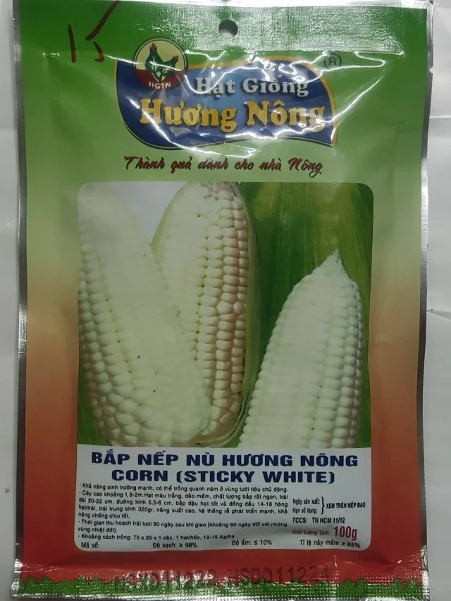 BẮP NẾP NÙ HƯƠNG NÔNG CORN (STICKY WHITE) - Hình ảnh 2