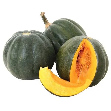 BÍ ĐỎ VICTORY HƯƠNG NÔNG
PUMPKIN F1 VICTORY