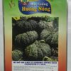 BÍ ĐỎ DA CÓC F1 HƯƠNG NÔNG 569 PUMPKIN F1 569 | 8077 scaled