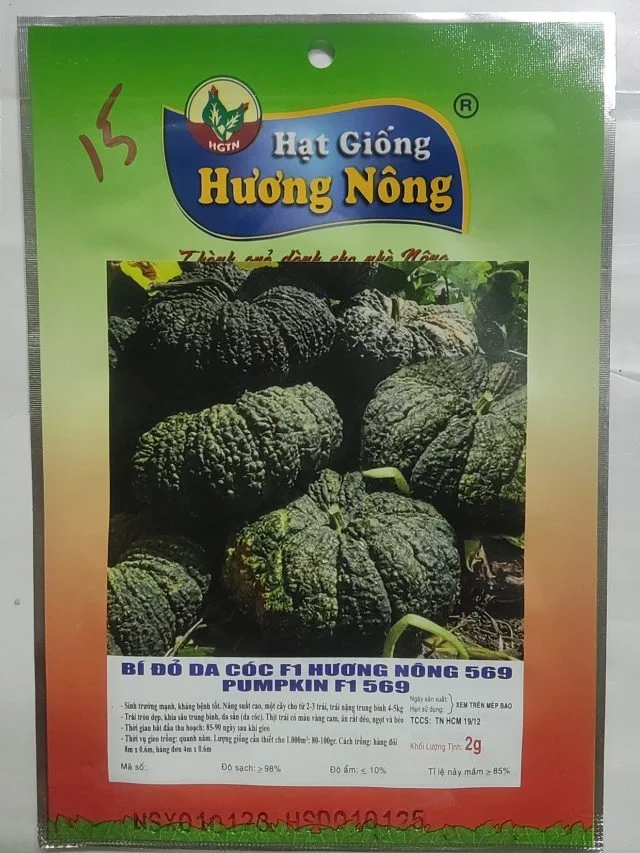 BÍ ĐỎ DA CÓC F1 HƯƠNG NÔNG 569 PUMPKIN F1 569 - Hình ảnh 2