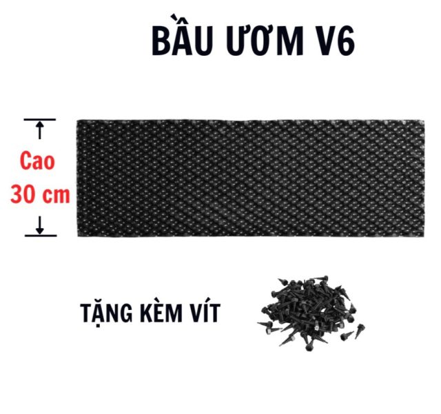 Bầu ươm V6