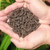 Sfarm- Trùn quế viên nén | 89863edf457c66c4ddd35f799df52fde