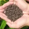 Sfarm- Trùn quế viên nén chuyên dành cho lan | 89863edf457c66c4ddd35f799df52fde