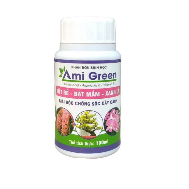 Ami Green | img 8063
