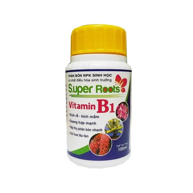 Super Roots Vitamin B1 | img 8088