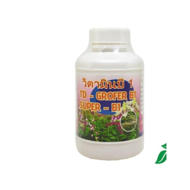 TD- GROFER B1 | img 8100