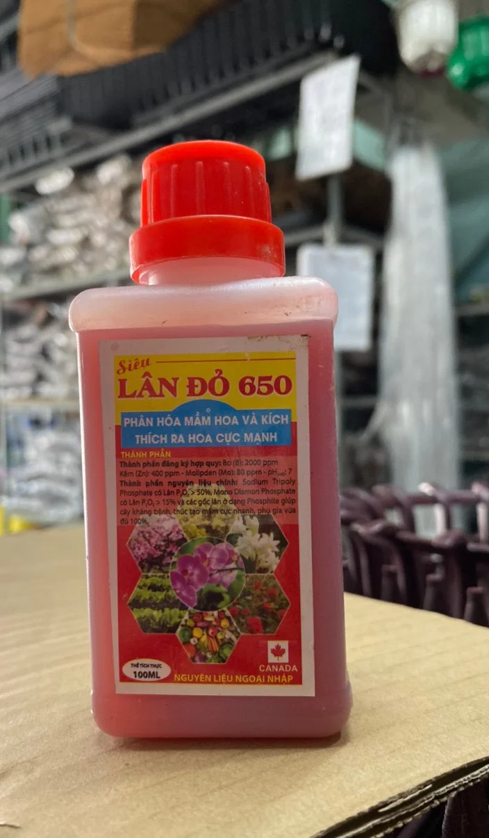 Siêu lân đỏ 650 | img 8135