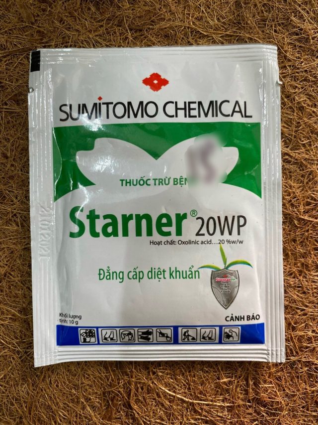 Starner 20WP | img 8163