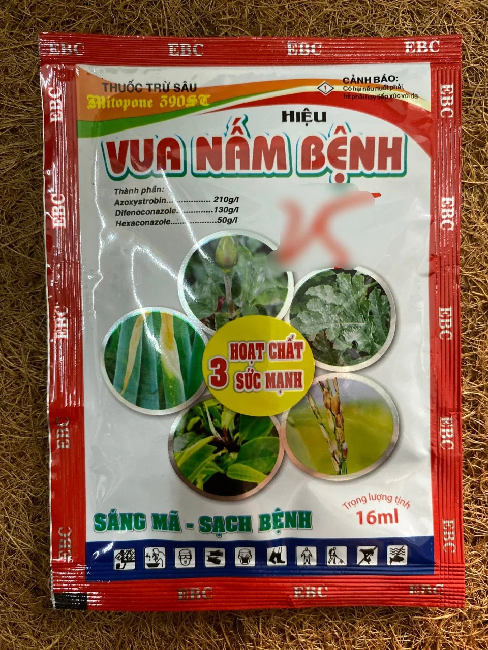 Vua Nấm Bệnh | img 8164