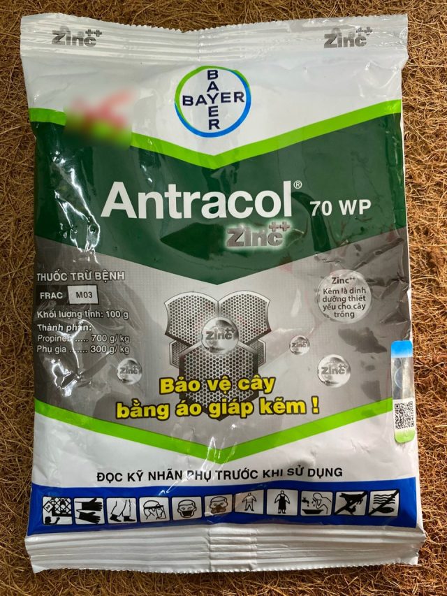 Antracol 70WP | img 8172
