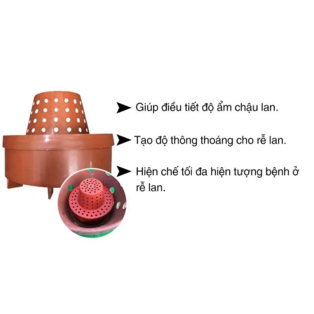 Cốc điều hoà độ ẩm thông minh dành cho lan - Hình ảnh 4