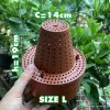 Cốc điều hoà độ ẩm thông minh dành cho lan | img 8211
