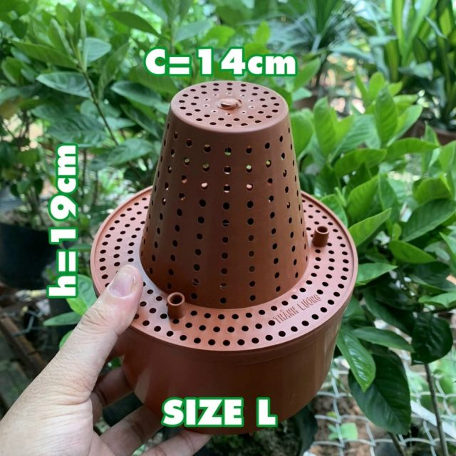 Cốc điều hoà độ ẩm thông minh dành cho lan - Hình ảnh 2