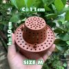 Cốc điều hoà độ ẩm thông minh dành cho lan | img 8212