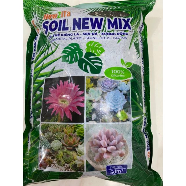 Soil New Mix giá thể kiểng lá, sen đá, xương rồng. | img 8217