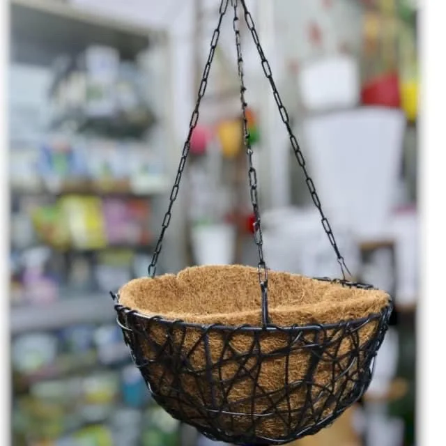 Chậu treo tổ chim