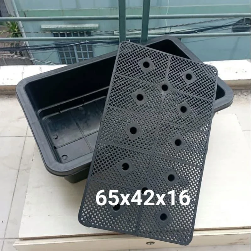 Khay trồng rau hình chữ nhật