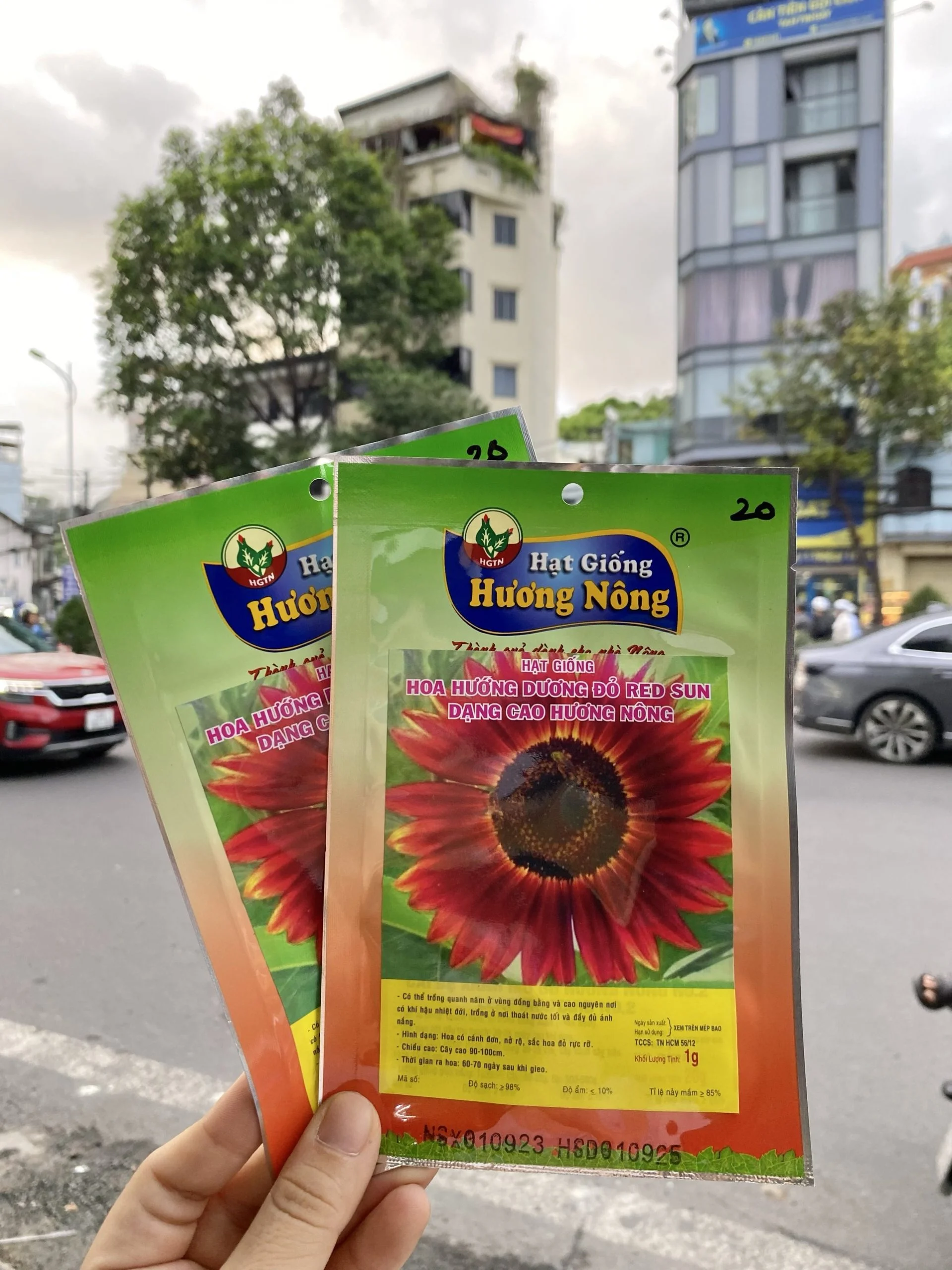 Hạt giống hoa hướng dương đỏ, REDSUN, dạng cao. | c7415d20bf0e5a3c37ed0cf6e5787730 scaled